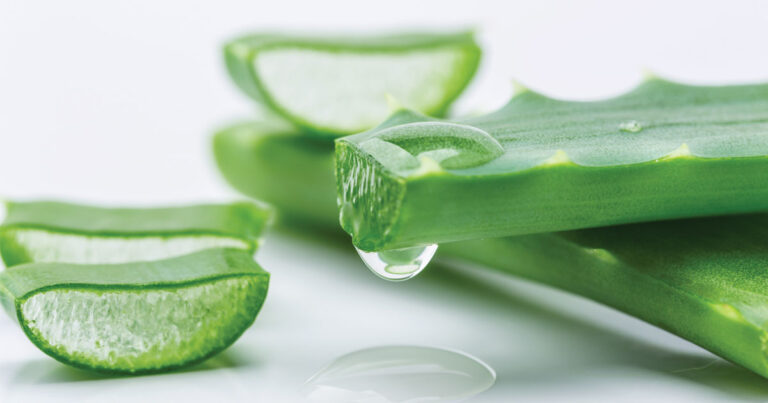 Aloe Vera for Sunburn Relief: Instantly Soothe Your Skin