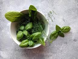 Basil Magic: Natural Remedy for Mouth Ulcers!