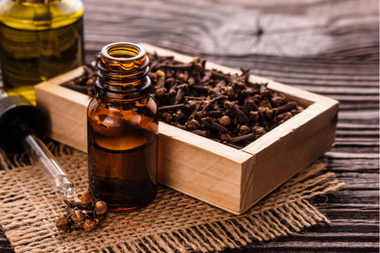 Clove Oil: Instant Relief for Toothache!